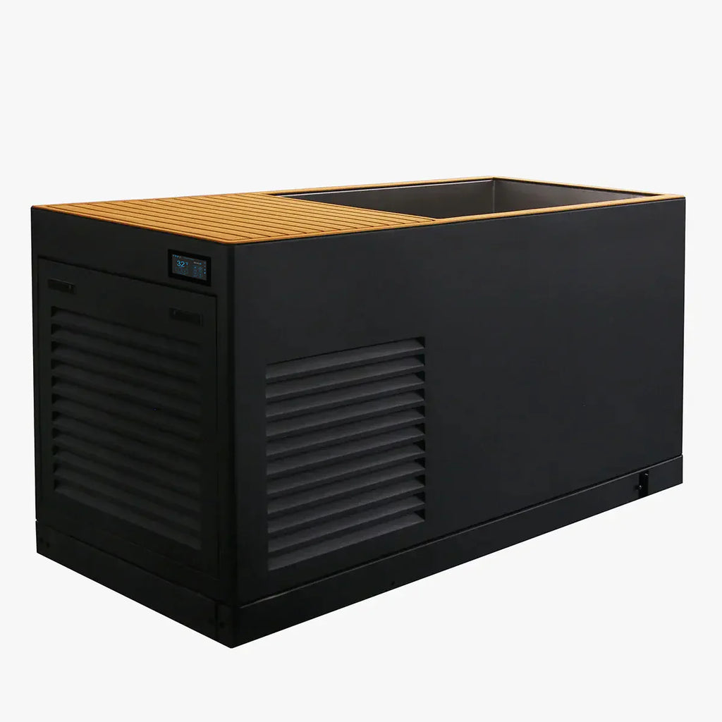 REVIVE 4 Person Extended Sauna & Luxury Plunge